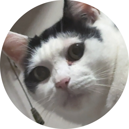あり*